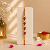 Rudraksha Rakhi with Money Plant| Exclusive Rakhi Hamper