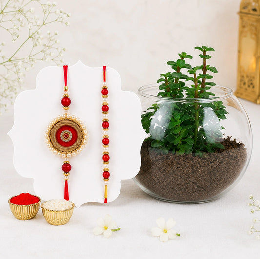 Bhaiya Bhabhi Beads Rakhi with Jade Plant in Fish Bowl | Rakhi Plant Gift