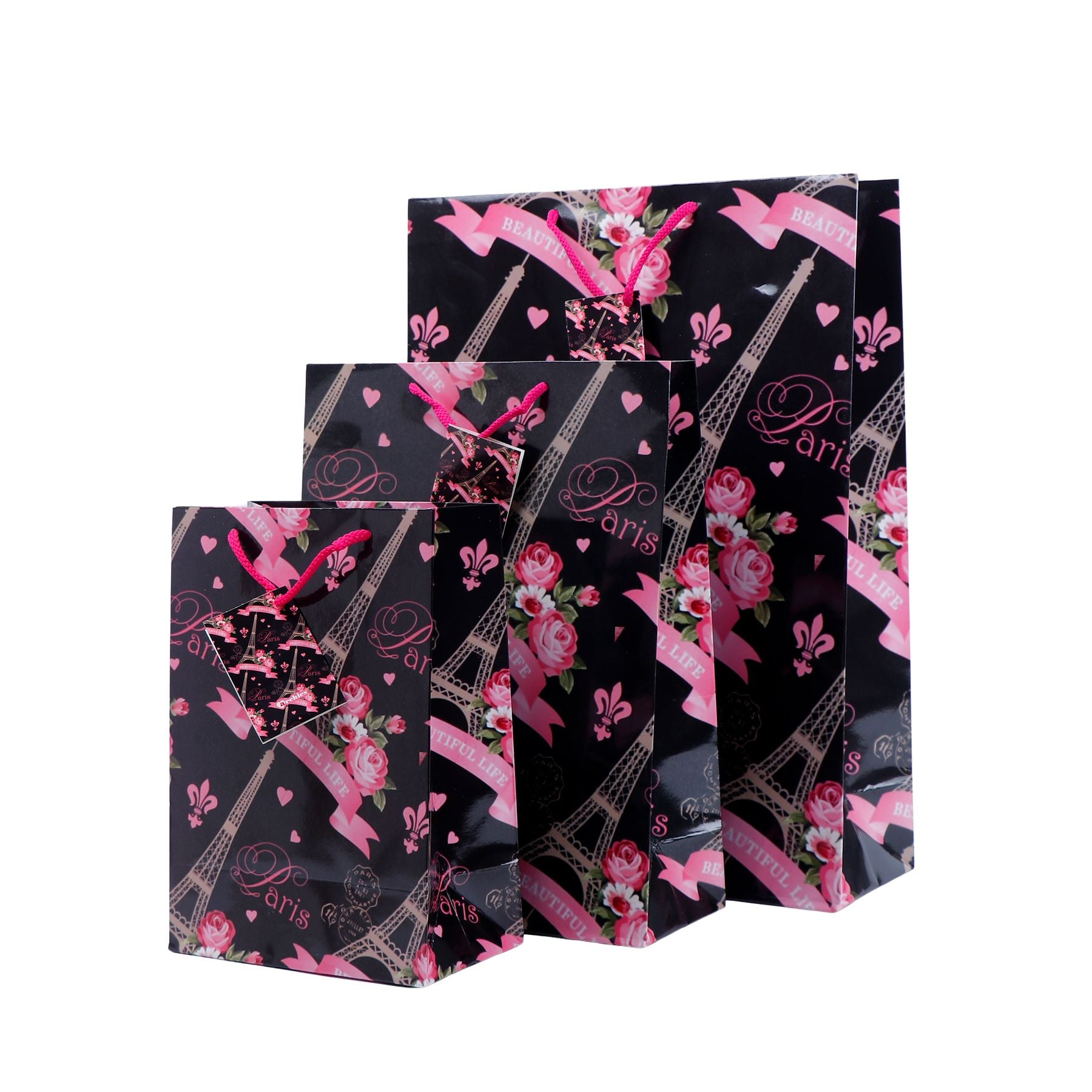 Paris Love Print Paper Bags Pack of 3 (S/M/L)