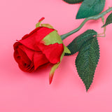 Blooming Love Bear with Rose and Greeting Card