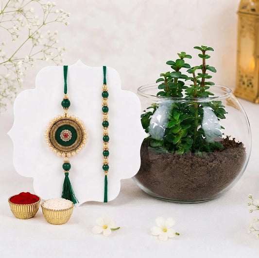 Bhaiya Bhabhi Beads Rakhi with Jade Plant in Fish Bowl | Rakhi Plant Gift