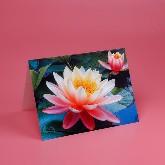 Lotus in Mud Seasons Greeting Card Pack of 50