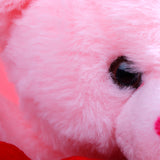 Sweet Love Teddy Bear with Rose and Greeting Card