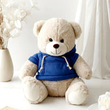 Rakhi Treasure Box, Greeting Card, Teddy Bear, BOYZ Perfume and Kaju Roll