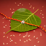 Ganesha Premium Silver Rakhi