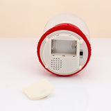 Red Romantic Couple Musical Snow Globe