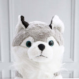 White and Grey Husky Soft Toy
