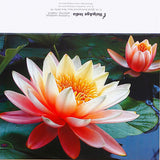 Lotus Seasons Greeting Card