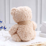 Cuddly Brown Teddy Bear