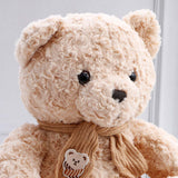 Cuddly Brown Teddy Bear