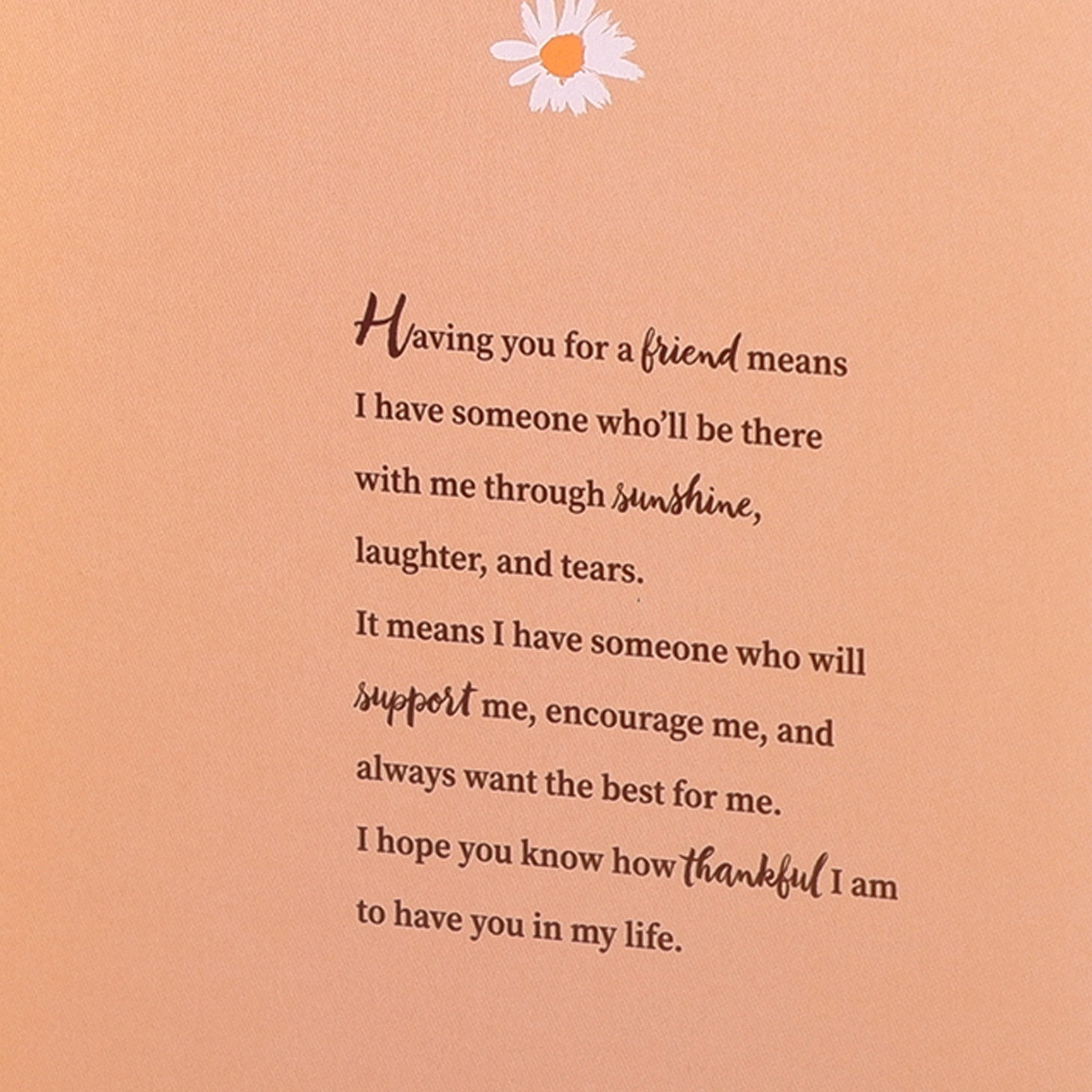 Hello Friend Greeting Card