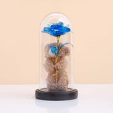Blue Teddy LED Glass Jar Showpiece
