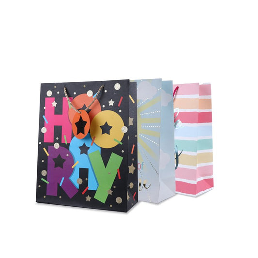 Beautiful Printed Paper Bags Pack Pack of 3