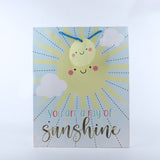 Beautiful Printed Paper Bags Pack Pack of 3