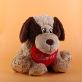 Cute Dog With Heart Soft Toy 40cm ( Assorted Color )