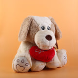 Cute Dog With Heart Soft Toy 40cm ( Assorted Color )