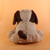 Cute Dog With Heart Soft Toy 40cm ( Assorted Color )