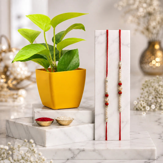 Set Of 2 Pearl Rakhi With Money Plant