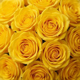 Cheerful 20 Yellow Roses Bouquet with Green Fillers & Yellow Ribbon