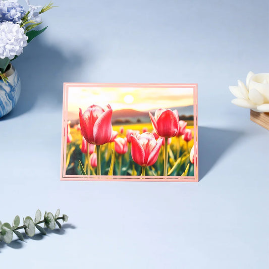 Pack of 50 Pink Tulip Field Greeting Card