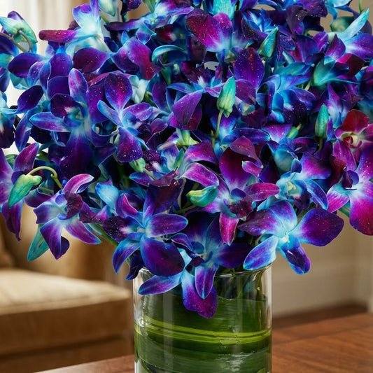 10 Blue Orchids Arrangement in Cylindrical Glass