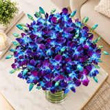 10 Blue Orchids Arrangement in Cylindrical Glass