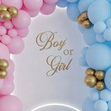 Boy or Girl Gender Reveal Balloon Arch Decor
