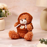 Dark Brown Hoddie Teddy Bear Keychain With Perfume and Ferrero Rocher