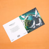 Pack of 50 Doves Over Green Earth Greeting Card