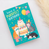 Purrfect Birthday Cats Personalised Greeting Card with Chocolate
