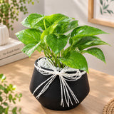 Money Plant in Black Metal Vase