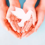 Pack of 50 Dove in Hands Greeting Card