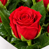 Bold 10 Red Roses Bouquet with Green Murraya Leaf Filler