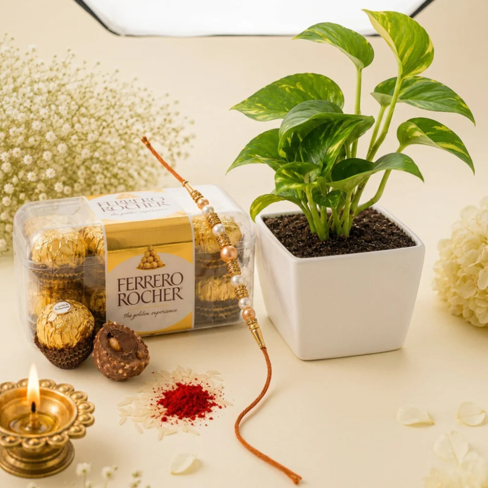 Pearl Rakhi with Spider Plant in Boy Resin Pot and Ferrero Rocher Pack