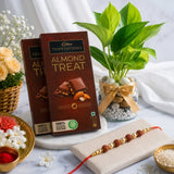 Rudraksha Rakhi with Plant and Cadbury Temptations Almond Chocolate | Divine Rakhi Sweet Combo
