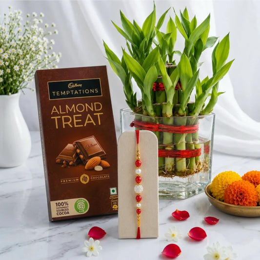 Pearl Rakhi with 2-Layer Lucky Bamboo Plant With Cadbury Temptations Almond Chocolate | Spiritual Plant Rakhi Gift