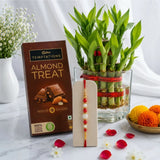 Pearl Rakhi with 2-Layer Lucky Bamboo Plant With Cadbury Temptations Almond Chocolate | Spiritual Plant Rakhi Gift