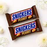 Set of 2 Pearl Rakhi with Snickers Chocolate Bars and Plant | Sweet Sibling Rakhi Gift