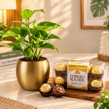 Money Plant with Ferrero Rocher Chocolate Box