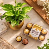 Money Plant with Ferrero Rocher Chocolate Box