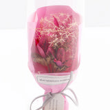 My Beautiful Flowers-Preserved Rose in Glass Dome