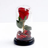 Eternal Red Rose in Glass Dome with LED Light