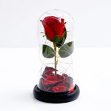 Forever Red Rose in Glass Dome with LED Light
