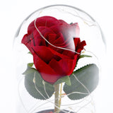 Forever Red Rose in Glass Dome with LED Light