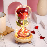 Enchanted Red Rose in Glass Dome