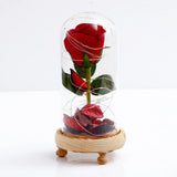 Enchanted Red Rose in Glass Dome