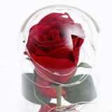 Enchanted Red Rose in Glass Dome
