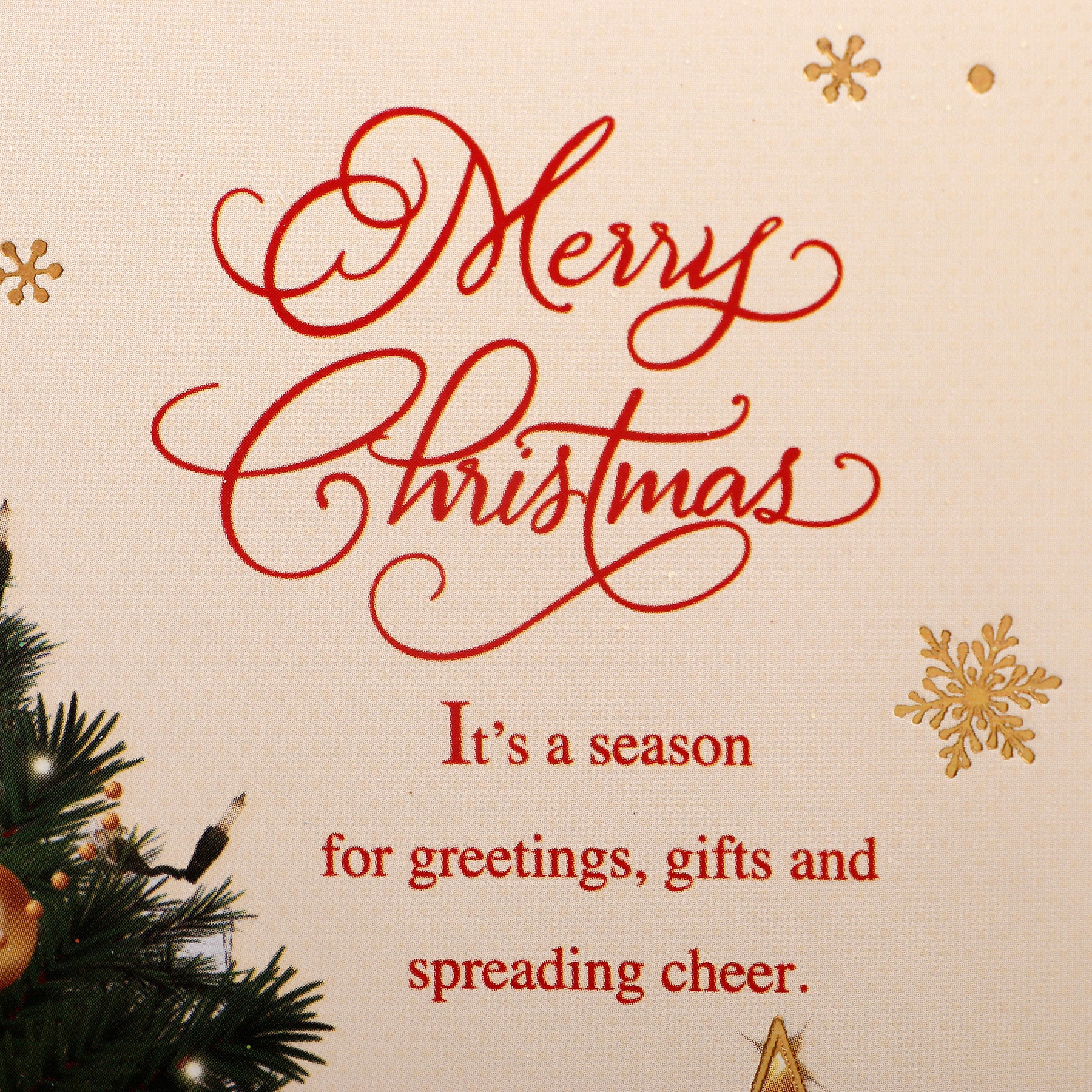 Merry Christmas Greeting Card Pack of 6
