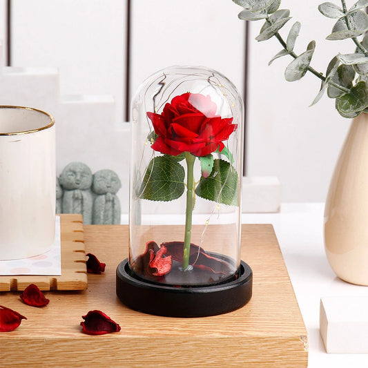 Archies Single Red Rose Glass Dome with Black Base