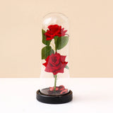 Archies Double Red Rose Dome with Black Base